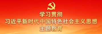 學(xué)習(xí)貫徹習(xí)近平時(shí)代中國特色社會(huì)主義思想主題教育